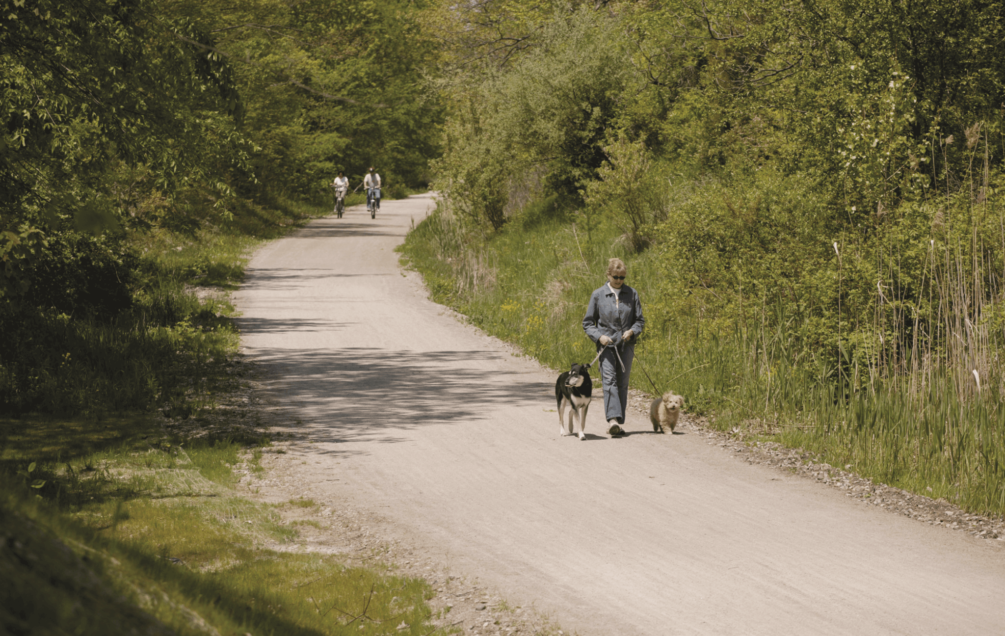 Clinton River Trail