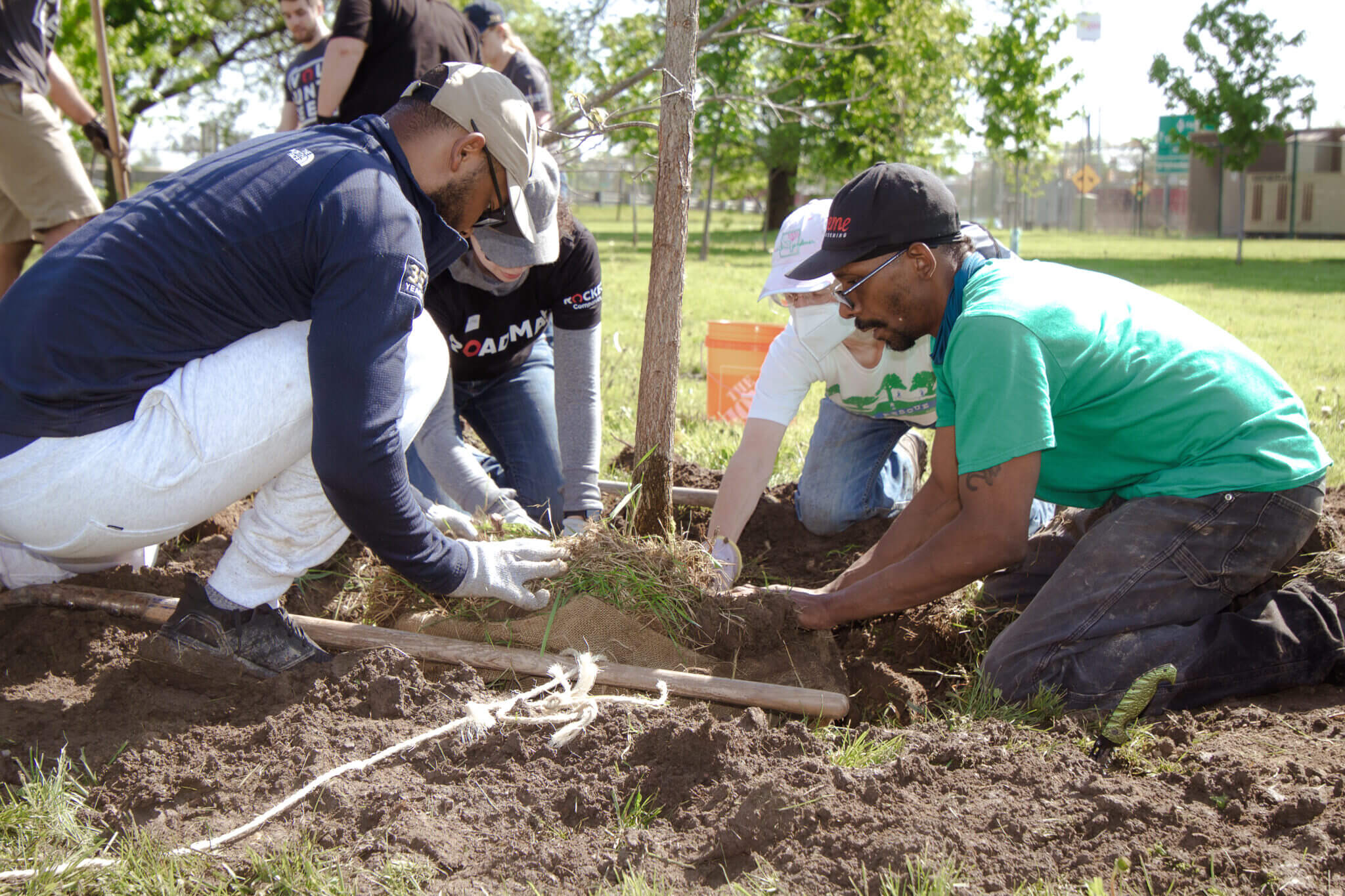 people planting a tree